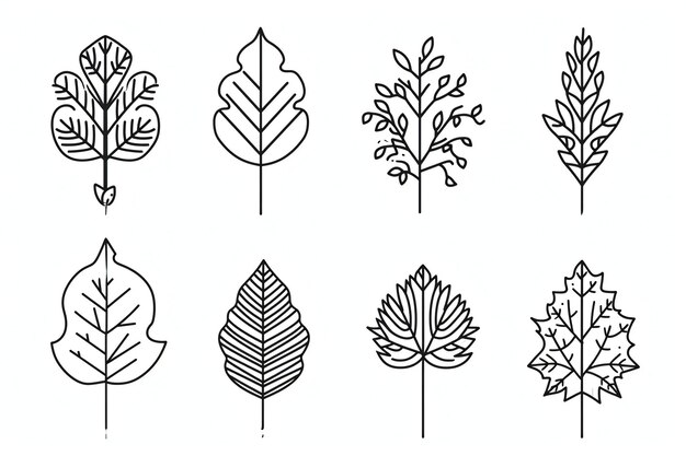 Photo leaf icon set outline set of leaf icons for web design isolated on white background