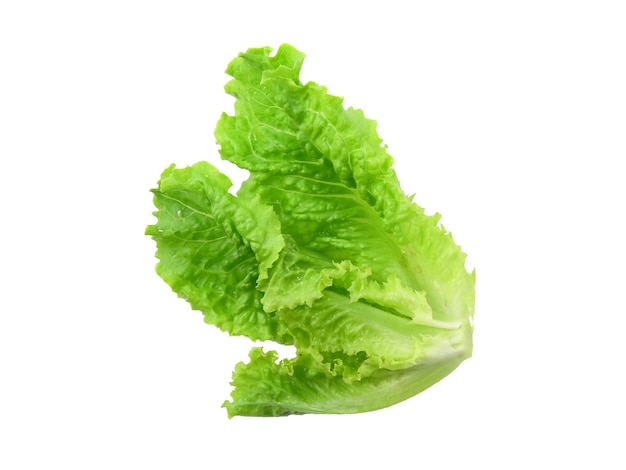 Photo leaf of lettuce on white background. isolated over white