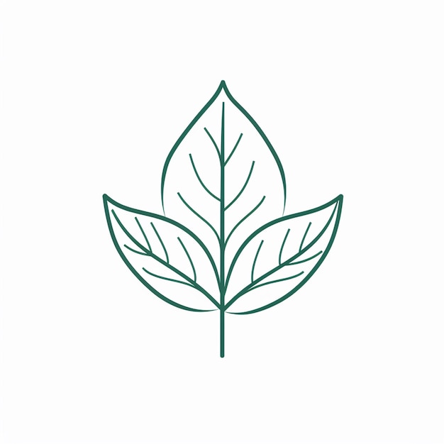 leaf logo line icon vector illustration isolated on white background