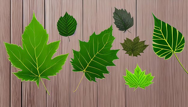 Leaf logo sets icons design set tree left logo nature concept