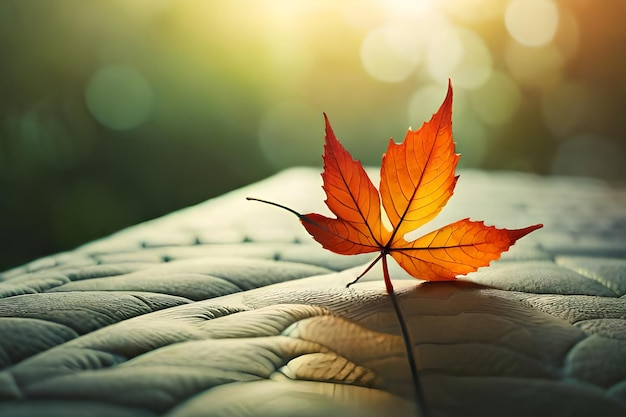 A leaf on a mattress is on a mattress.