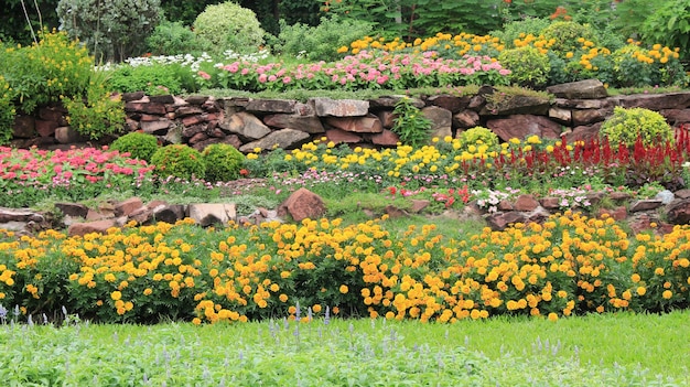 白い背景で隔離のヤシの木の葉