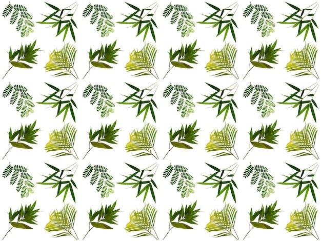 Leaf pattern background