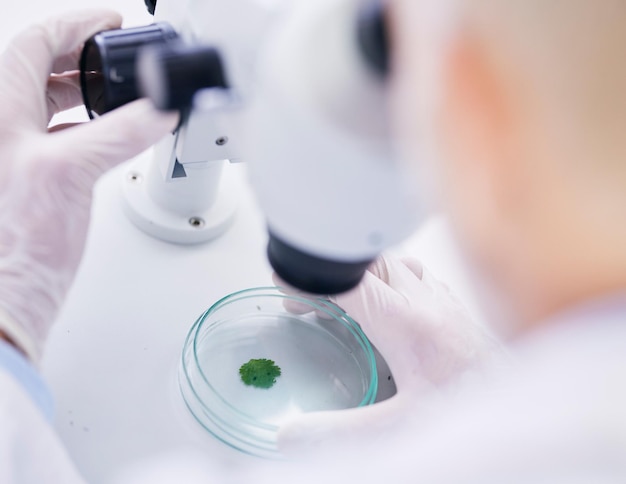 Photo leaf in petri dish microscope and scientist with analysis liquid solution and environment science with medical research investigation review and agriculture person check plant sample in lab