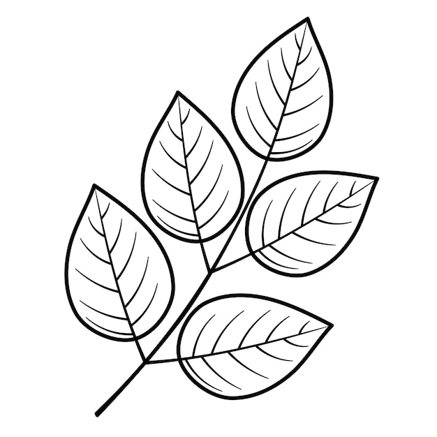 Leaf png doodle sticker zwart-wit illustratie doorzichtige achtergrond