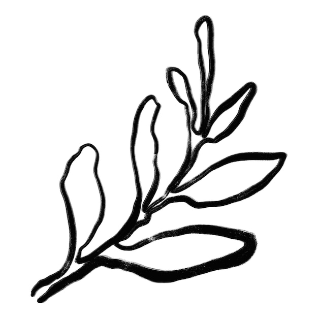 葉 png ステッカー インク ブラシ 植物学 透明 背景