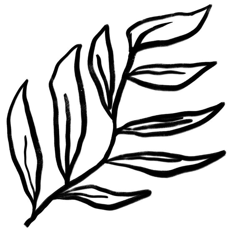 Foto leaf png sticker inkt penseel botanische doorzichtige achtergrond