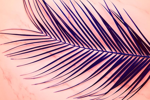 Leaf of a robelini in neon ultra violet color on pink background. Painted tropical palm leaf. Flat lay, top view.