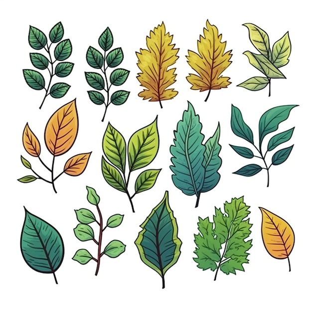 leaf set