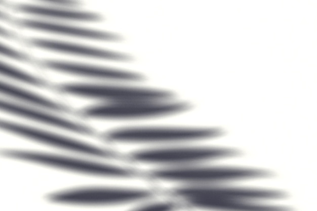 Фото Наложение эффекта тени листа естественный дизайн для фотографии редактирование текстуры силуэта листвы