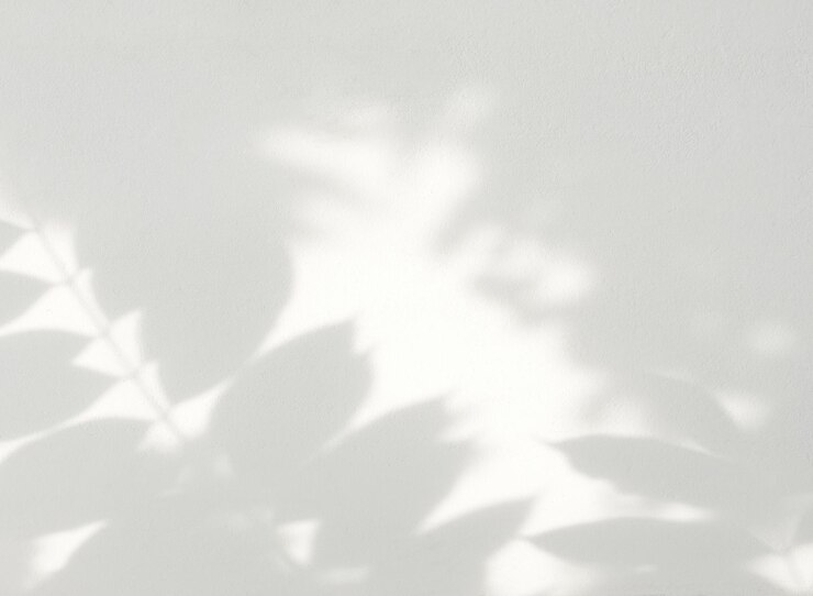 Photo 白いコンクリートの壁の背景に葉の影と光