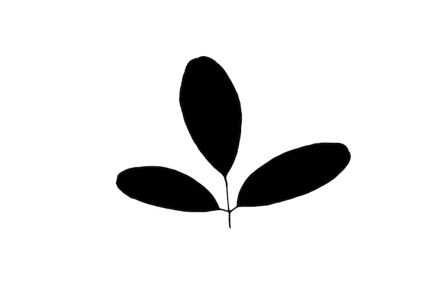 葉のシルエット 黒い春のデザイン要素 植物自然 イラストアート