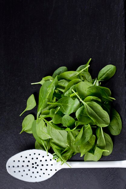 Leaf spinach and white skimmer on slate