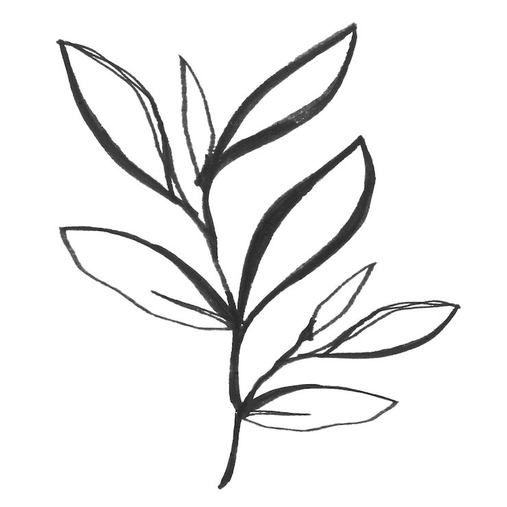 Foto leaf sticker line art design png collage element doorzichtige achtergrond