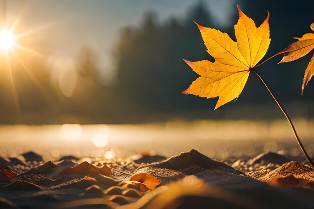 A leaf that has fallen on the sand