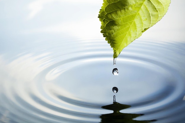 Foto foglia con goccia d'acqua