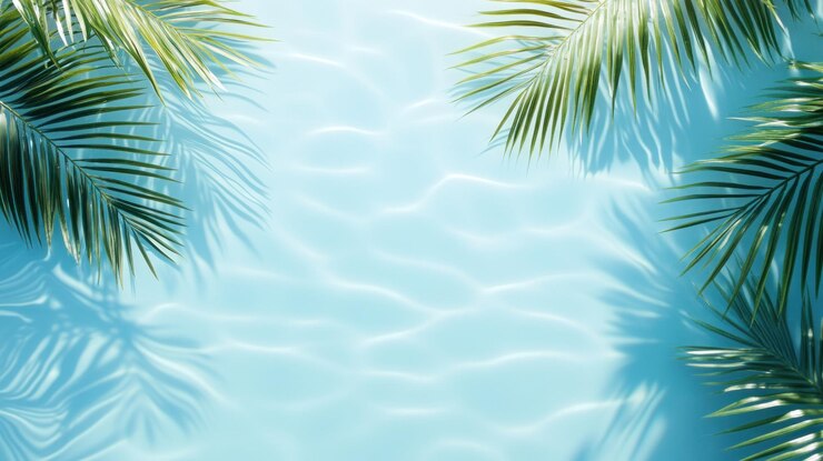 Photo a leafy green palm tree is reflected in the water the water is blue and the leaves are silver