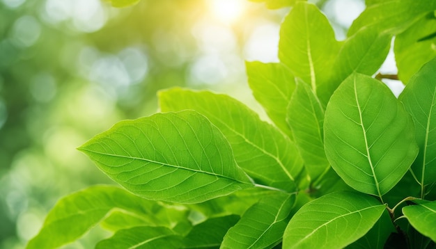 Photo a leafy green tree branch