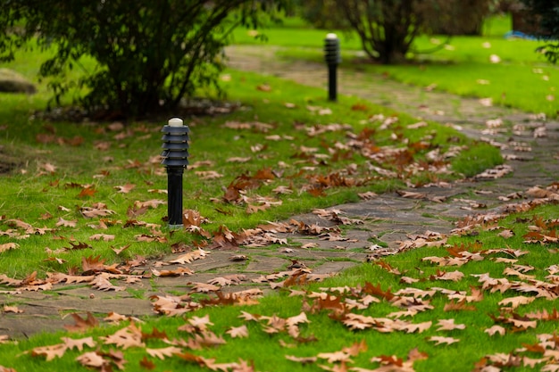 Leafy walking path in the park