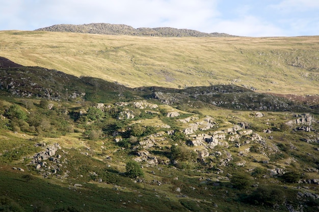 스노도니아, 웨일즈, 영국의 Capel Curig 근처 Leandscape