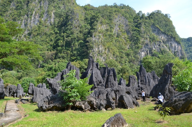 Foto leang-leang di maros