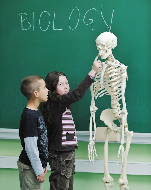 Photo learn biology in school