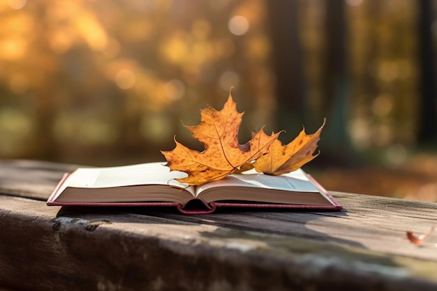 Learning in nature's embrace Book rests on wooden bench autumnal backdrop