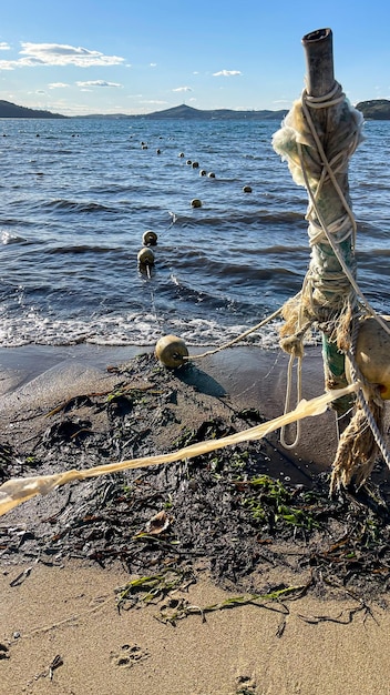 Guinzaglio per una barca in riva al mare. vecchie corde