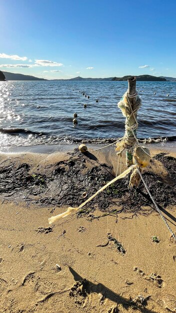 해변에서 보트에 대 한 가죽 끈입니다. 오래된 밧줄