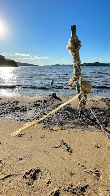 写真 海岸でボートの鎖。古いロープ