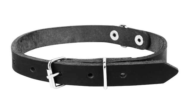 Leather black dog collar on a white background