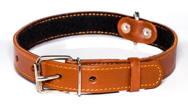 Leather dog-collar isolated over the white background, side view.