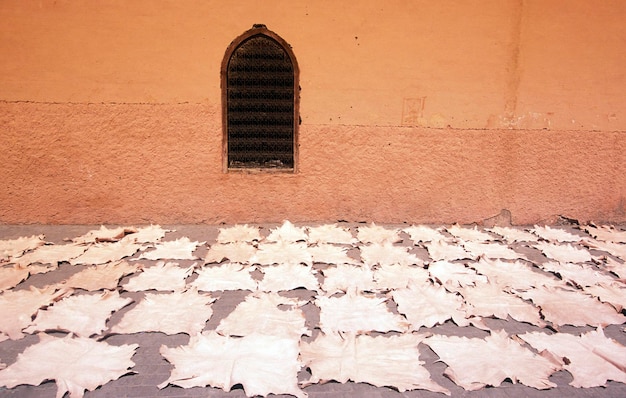Photo leather drying on street against building