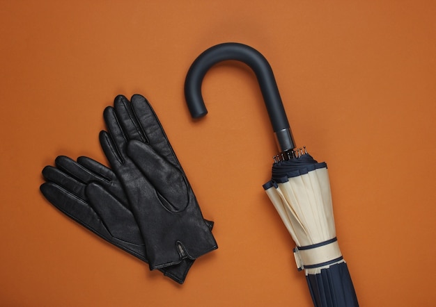 Leather gloves and an umbrella on brown