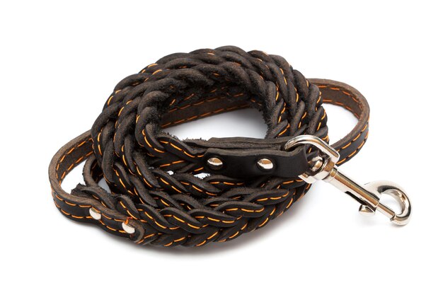 leather leash