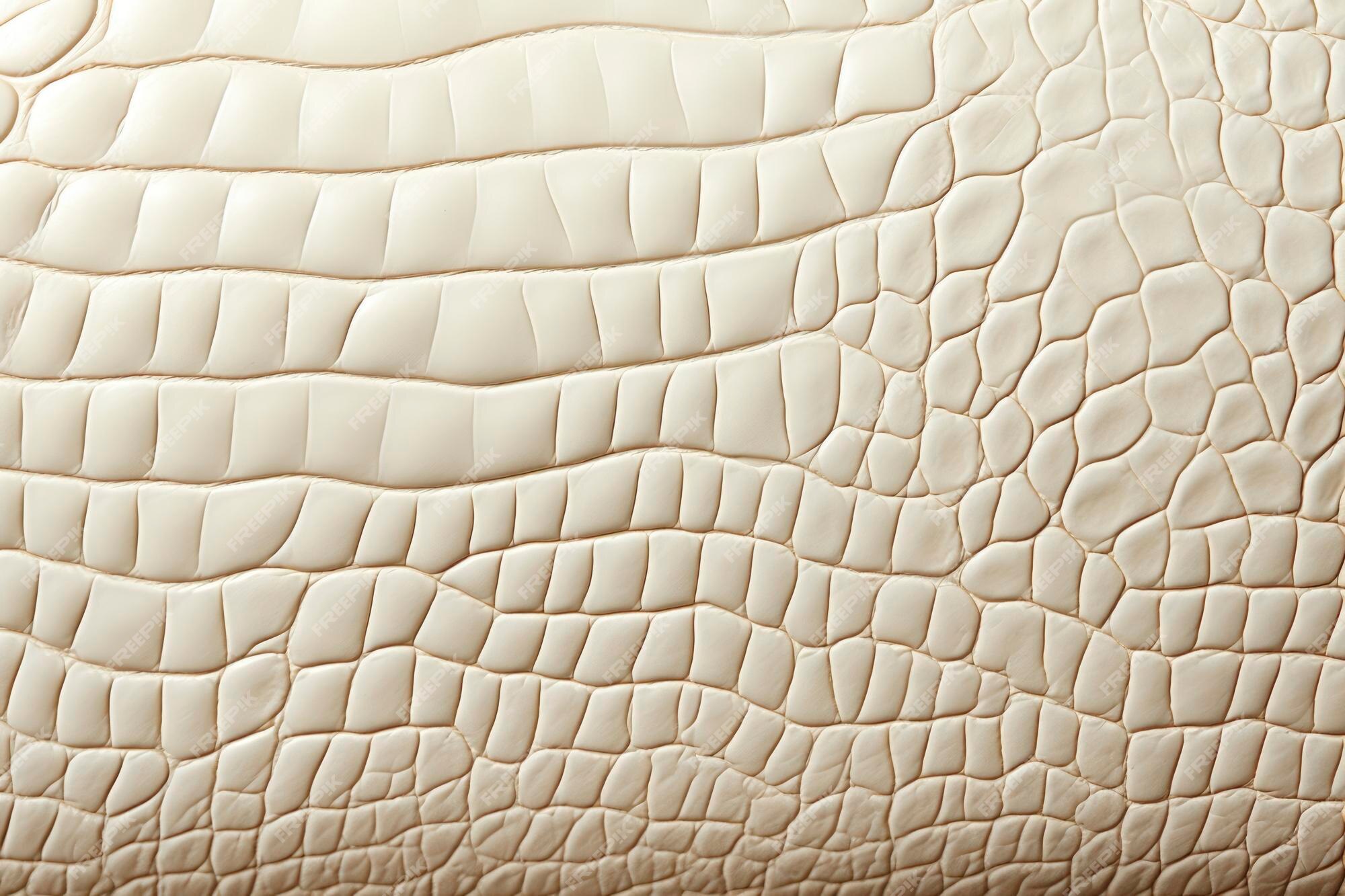 Crocodile Skin Images - Free Download on Freepik