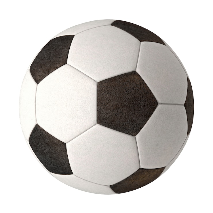 Photo leather soccer ball