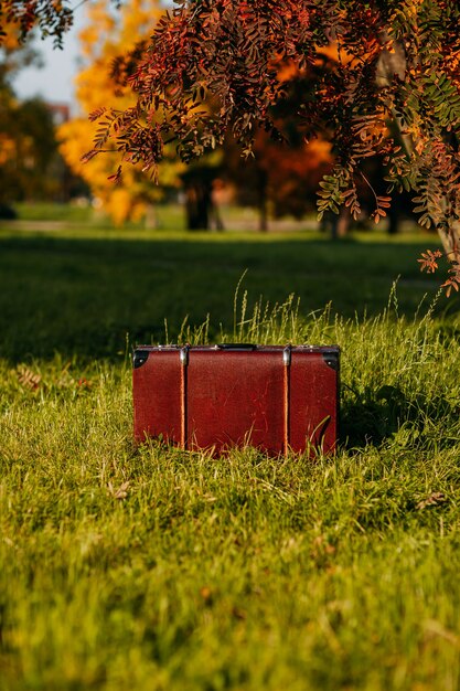 Leather suitcase under the tree