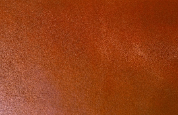 Leather texture photos