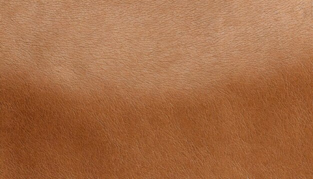 Leather Texture