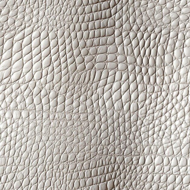 leather texture