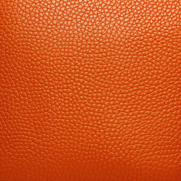 Leather Texture