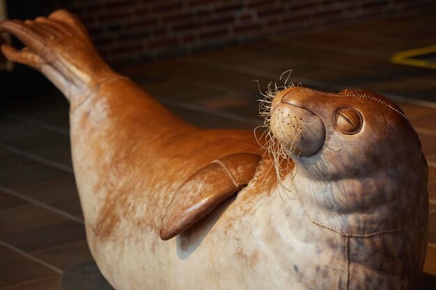 Leather toy seal in an oceanarium in denmark