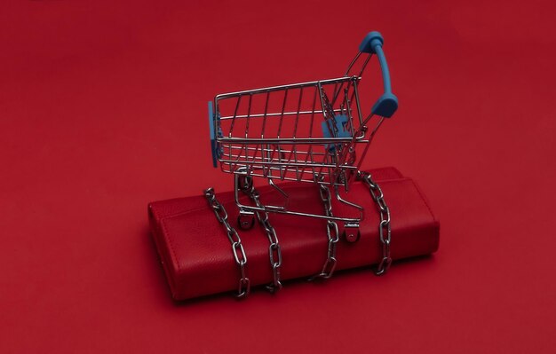 Leather wallet wrapped in a steel chain and mini shopping trolley on red background.