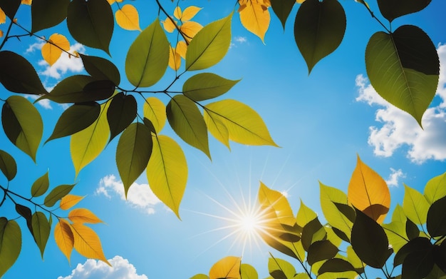 Foto foglie contro il cielo blu con il sole luminoso cielo soleggiato sfondo sole