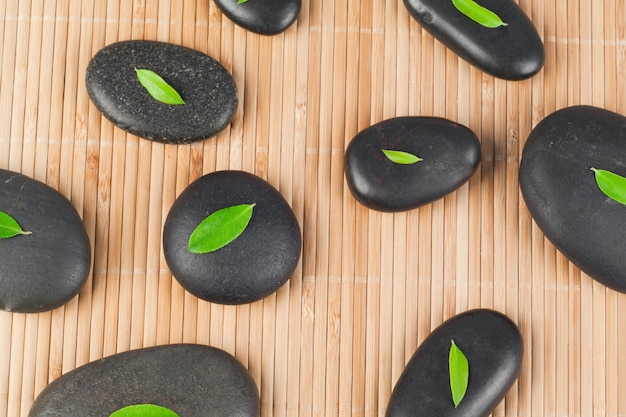 Leaves on black stones