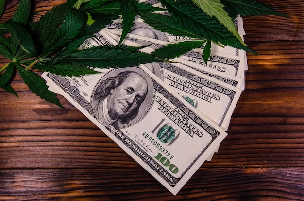 Leaves of the cannabis plant and one hundred dollar bills on wooden table Top view