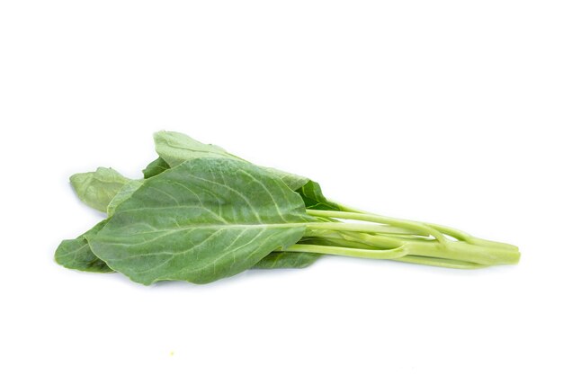 leaves of collards on background