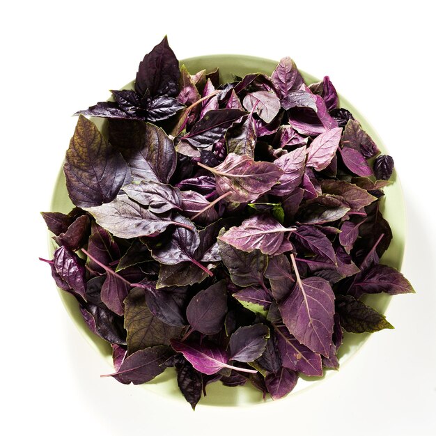 Leaves of colored green and purple basil on a white background