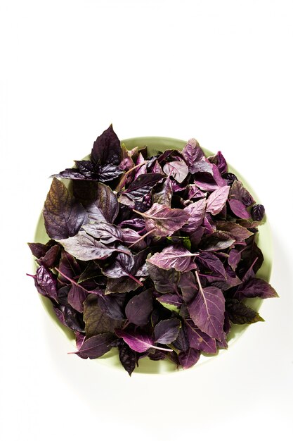 Leaves of colored green and purple basil on a white background.